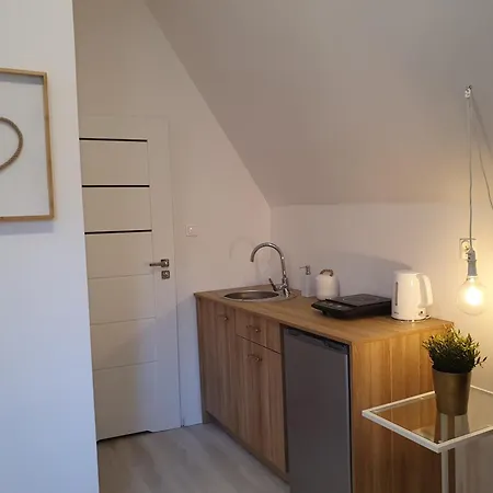 Przy Neptunie شقة غدانسك