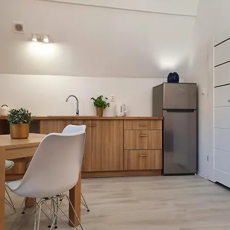 Przy Neptunie Apartman *